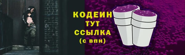 спиды Каменка
