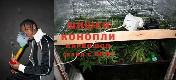 спиды Каменка