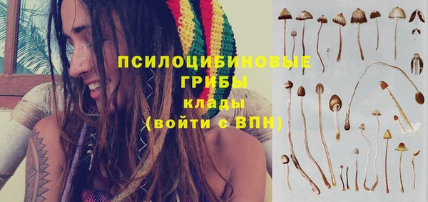 спиды Каменка