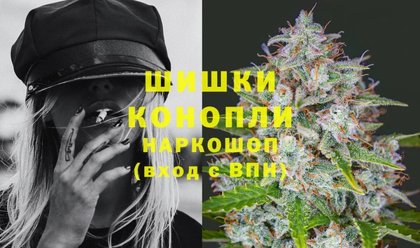 спиды Каменка