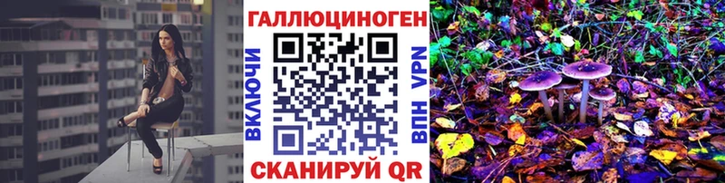 Псилоцибиновые грибы мицелий  Купить закладки  Заинск 